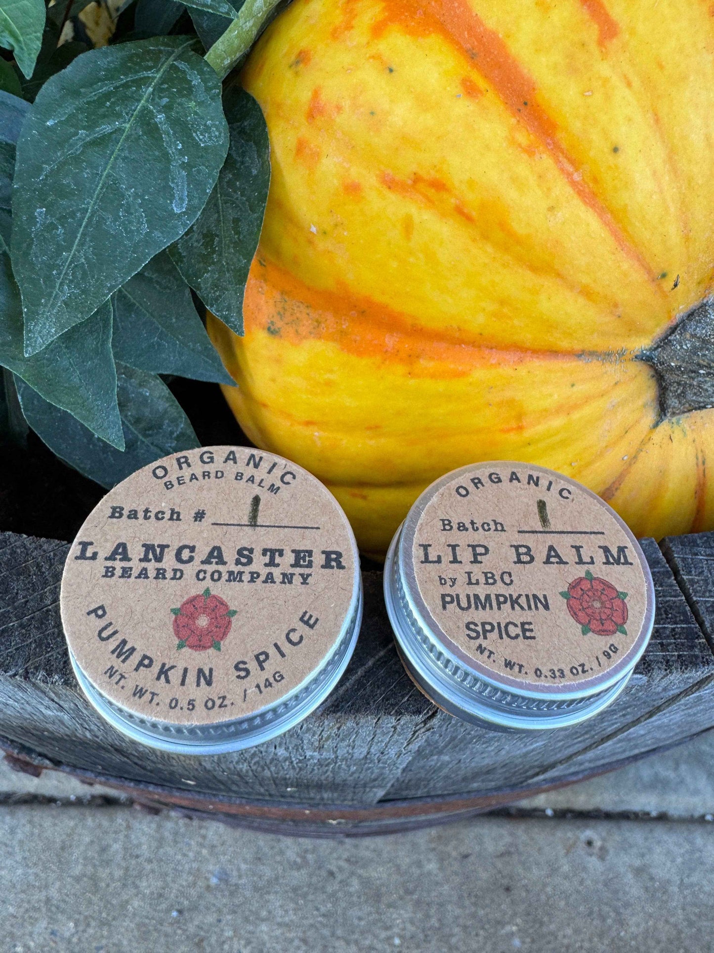 Lancaster Beard Company - Fall Limited Edition - Organic Pumpkin Spice Lip Balm: 0.33oz