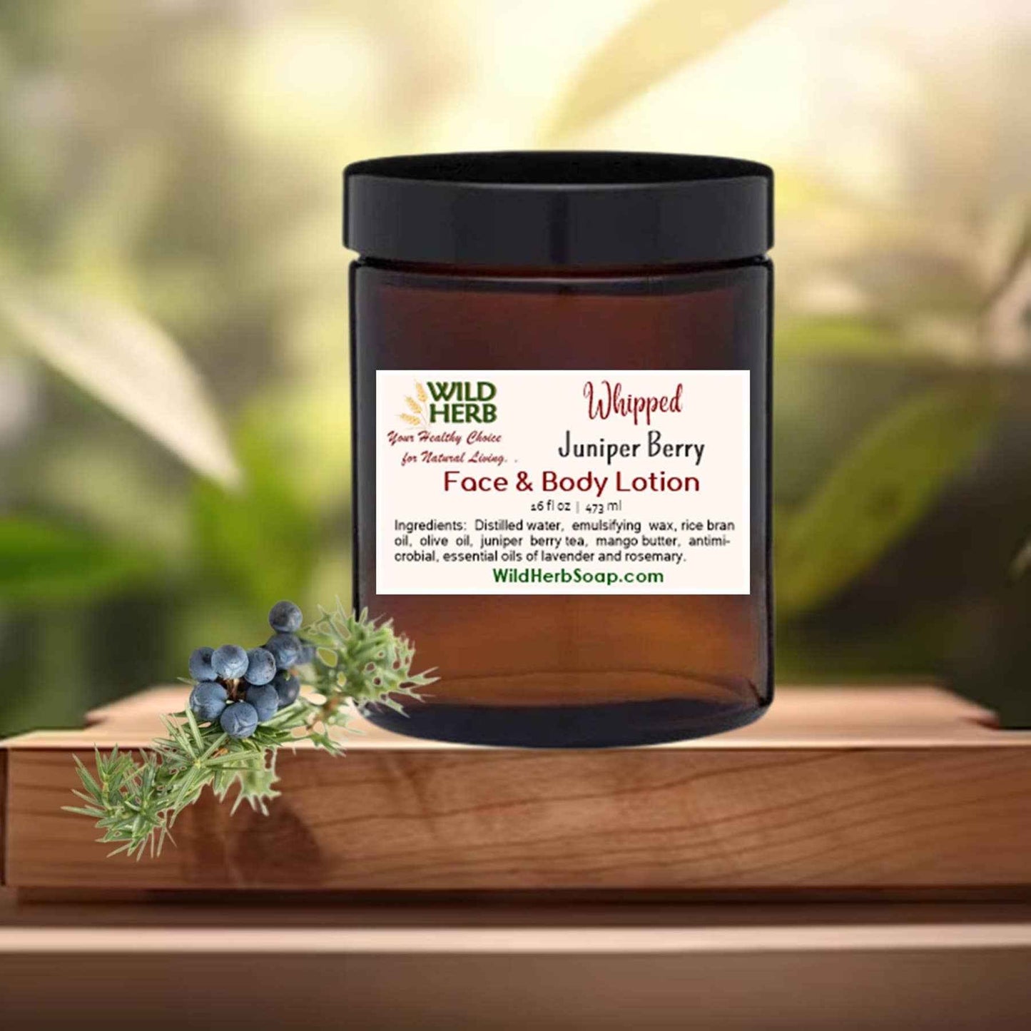 Wild Herb:Whipped Lotion: Lavender Rosemary Organic Juniper Tea 4 oz